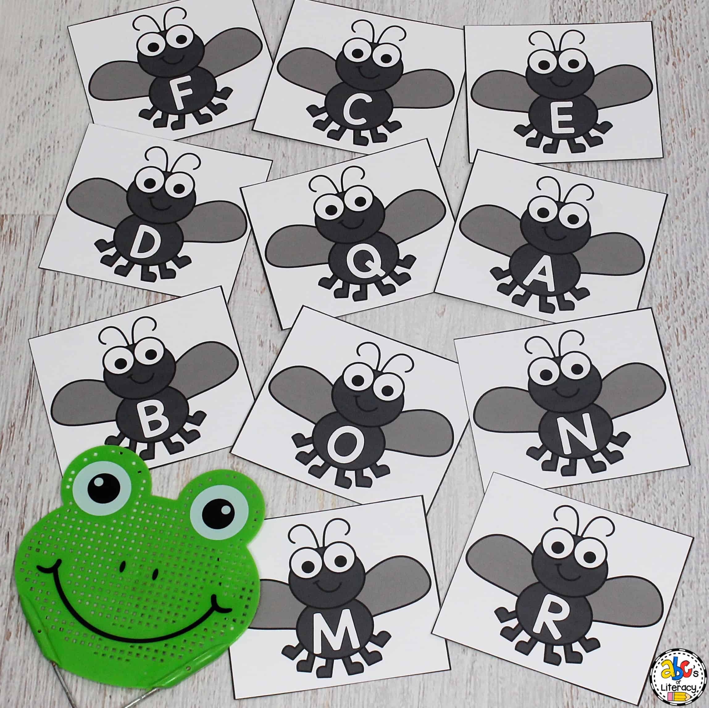 Fly Swatter Alphabet Game Letter Recognition Activity