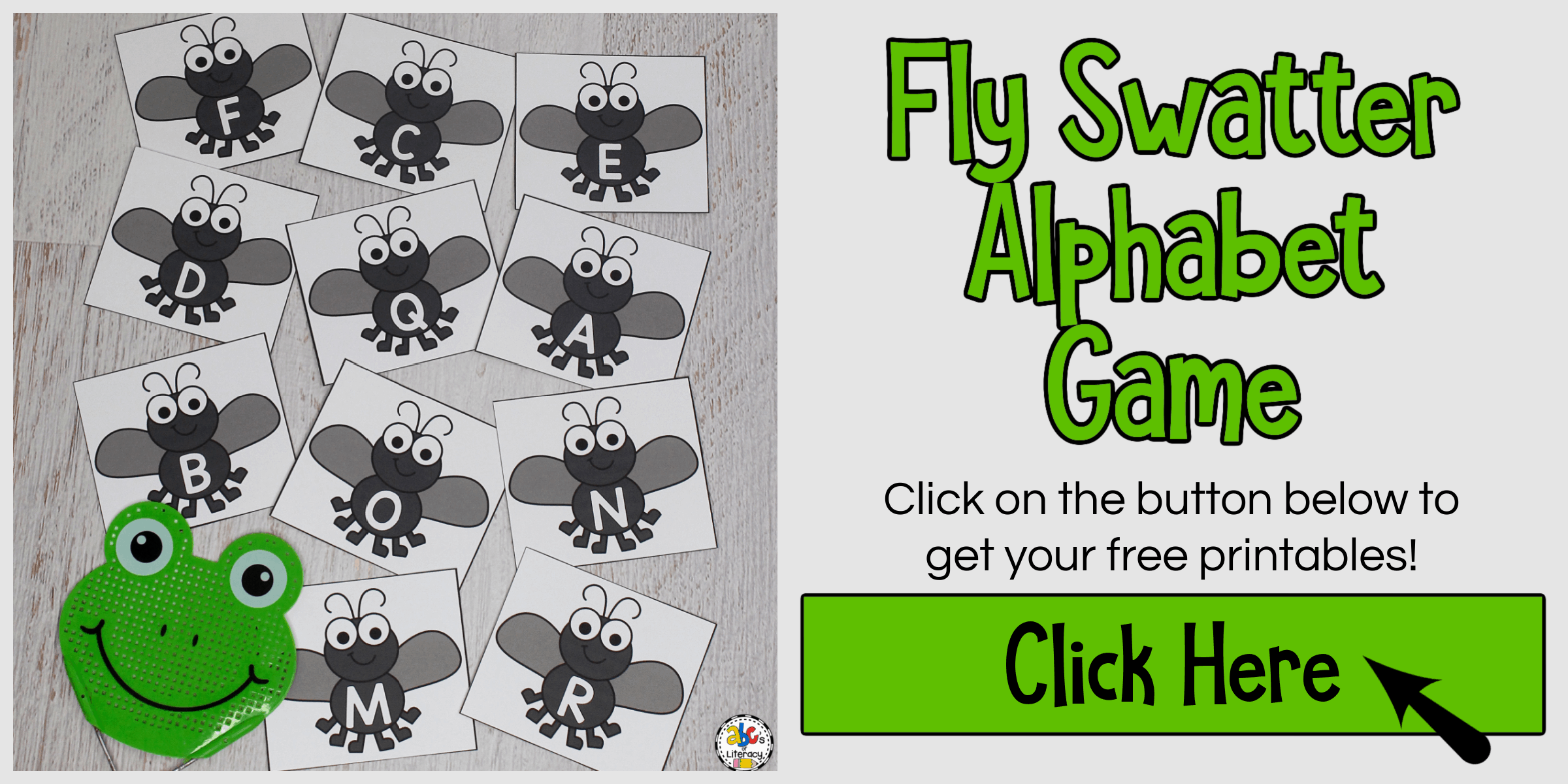 Fly Swatter Alphabet Game Letter Recognition Activity